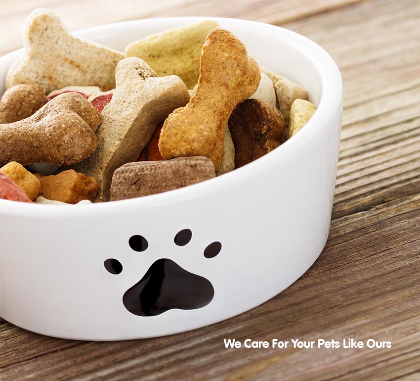 Global Pets Global Pets